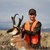 Antelope
