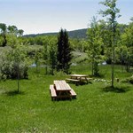 Picnic & Trophy Pond