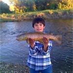 Dillons Biggest Brown