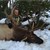 Randy Kinkade, Cedarville, NJ.
