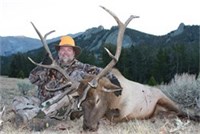Elk