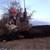 Moose 2012