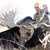 Duane Bakke (Finley,ND)
