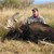Moose 2012