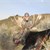 Tom Triplett, Blacksburl, Va.