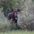 Area 3 Moose June 30, 2012