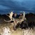 Bo Bilek, Casper, Wy.