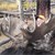 Moose 2012