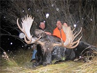 Moose
