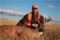 Whitetail Deer