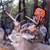 David Brown, GA.