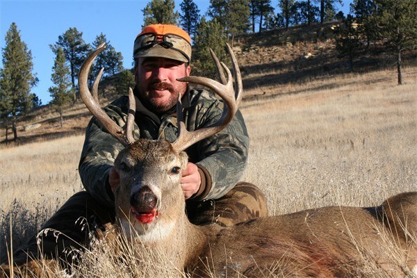 Whitetail Deer | Whitetail Deer | Bald Mountain Outfitters