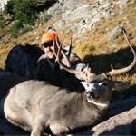 Mule Deer