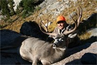 Mule Deer