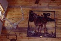 Antler Hunting