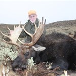 Moose 2012