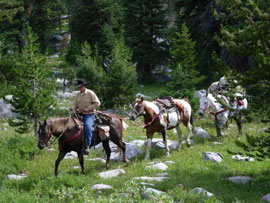 Outfitter, Guide and Packers School