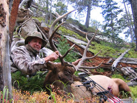 Bald Mountain Outfitter Archery